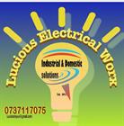 Lucious Electrical Worx