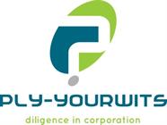 Ply-Yourwits Digital Marketing