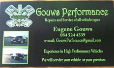 Gouws Performance