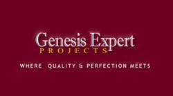 Genesis Expert Projects