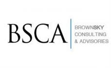 Brownsky Consulting And Advisories