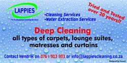 Lappies Cleaning Services