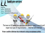 Leroy's & Kallie's Handy-Pro Services