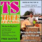 TS Tree Felling