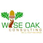 Wise Oak Consulting