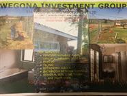 Wegona Investment Group