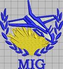 MIG Protection Services