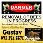 Honey Bee Removals