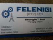 Felenigi Holdings