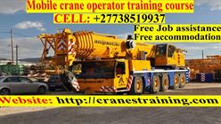 Cranes Training