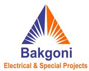 Bakgoni Electrical And Special Projects