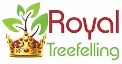 Royal Tree Felling