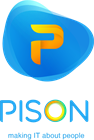Pison Computers