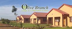 Olive Branch Quest House
