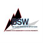 BSW Quality Projects