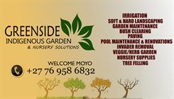 Greenside Indigenous Gardens & Nursery Solutions