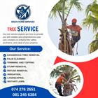 Delta Home Assist