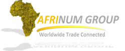 Afrinum Group