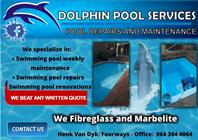 Dolphin Pool Services