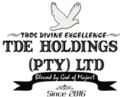 TDE Holdings