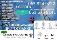Zackys Tree Felling And Garden Services