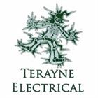 Terayne Electrical Maintenance