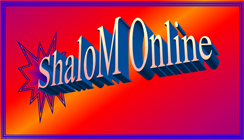 Shalom Electrical