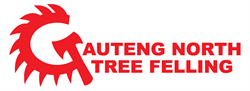 Gauteng North Tree Felling