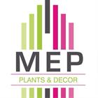 MEP Plants And Decor