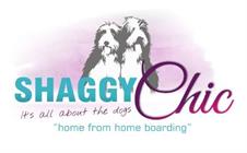 Shaggy Chic Pet Services