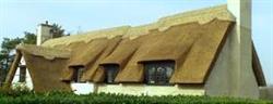 Royalbld Thatched Roof