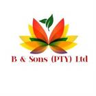 B And Sons Pty Ltd