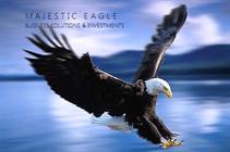 Majestic Eagle