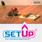 Setup Marketing