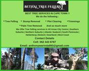 Bethel Tree Felling