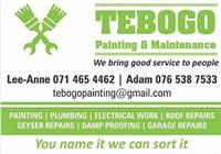 Tebogo Painters And Maintenance