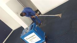 Beestone Carpet cleaning