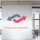 Siyanqoba grower