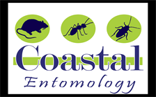 Coastal Entomology Pest Control