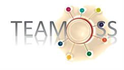 Team of System Solutions