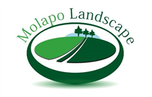 Molapo Landscape
