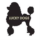 Lucky Dogs & Cats Grooming Salon