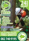 iTree Tree felling & Stump Grinding