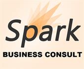 Spark Business Consult