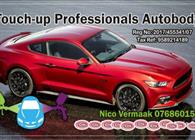 Touch-Up Professionals Autobody