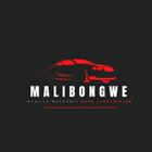 Malibongwe Auto Electrical