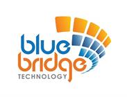 Blue Bridge Technology