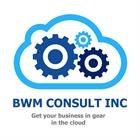 Bwm Consult Inc