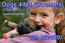 Dogs 4 Us Professional Groomers