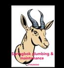 Springbok Plumbing